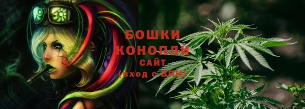 молекула духа Белоозёрский