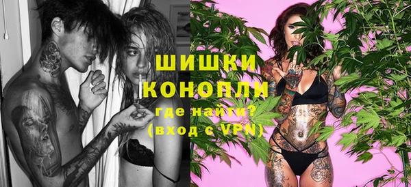 молекула духа Белоозёрский