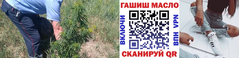 ТГК Wax  закладки  Жиздра 